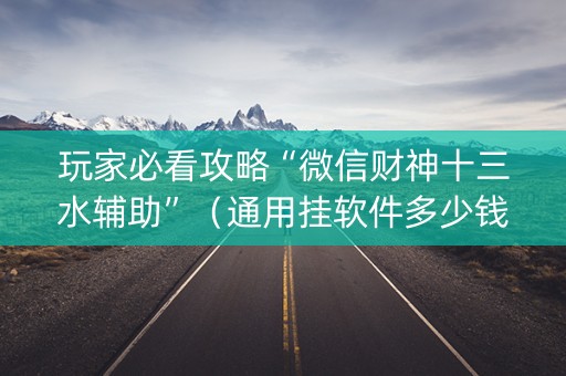 玩家必看攻略“微信财神十三水辅助”（通用挂软件多少钱)