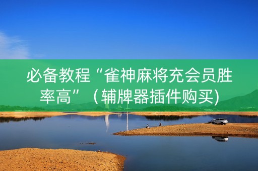 必备教程“雀神麻将充会员胜率高”（辅牌器插件购买)