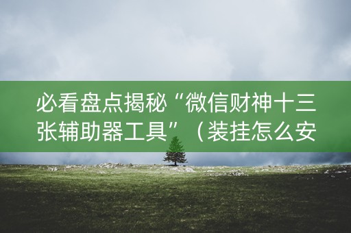 必看盘点揭秘“微信财神十三张辅助器工具”（装挂怎么安装)