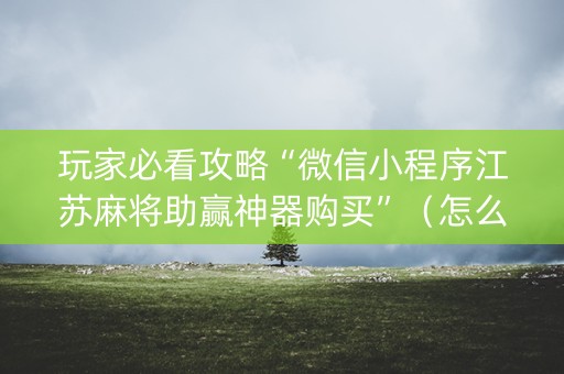玩家必看攻略“微信小程序江苏麻将助赢神器购买”（怎么设置能有好牌)