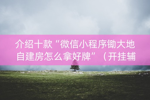 介绍十款“微信小程序锄大地自建房怎么拿好牌”（开挂辅助脚本)