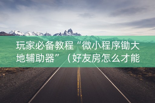 玩家必备教程“微小程序锄大地辅助器”（好友房怎么才能赢)