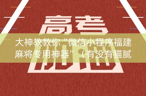 大神教教你“微信小程序福建麻将专用神器”（有没有猫腻)