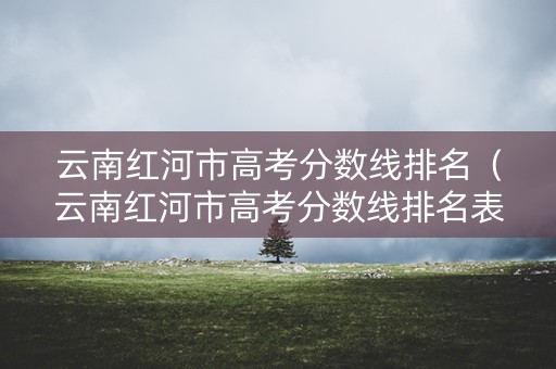 云南红河市高考分数线排名（云南红河市高考分数线排名表）