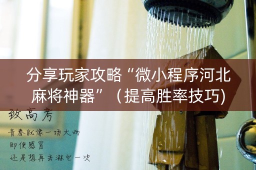 分享玩家攻略“微小程序河北麻将神器”（提高胜率技巧)