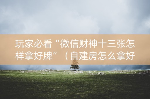 玩家必看“微信财神十三张怎样拿好牌”（自建房怎么拿好牌)