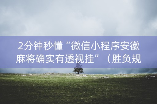 2分钟秒懂“微信小程序安徽麻将确实有透视挂”（胜负规律拿好牌)