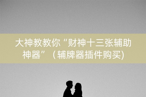 大神教教你“财神十三张辅助神器”（辅牌器插件购买)