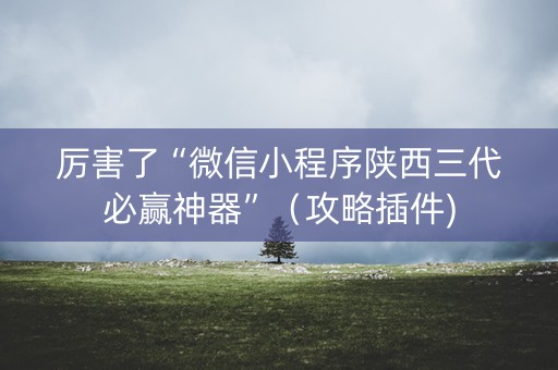 厉害了“微信小程序陕西三代必赢神器”（攻略插件)