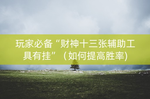 玩家必备“财神十三张辅助工具有挂”（如何提高胜率)