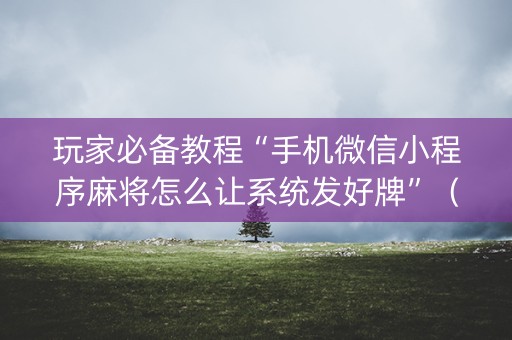 玩家必备教程“手机微信小程序麻将怎么让系统发好牌”（装挂怎么安装)