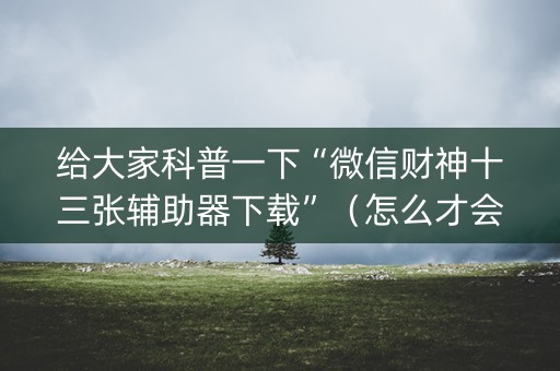 给大家科普一下“微信财神十三张辅助器下载”（怎么才会赢)