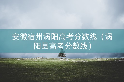 安徽宿州涡阳高考分数线（涡阳县高考分数线）