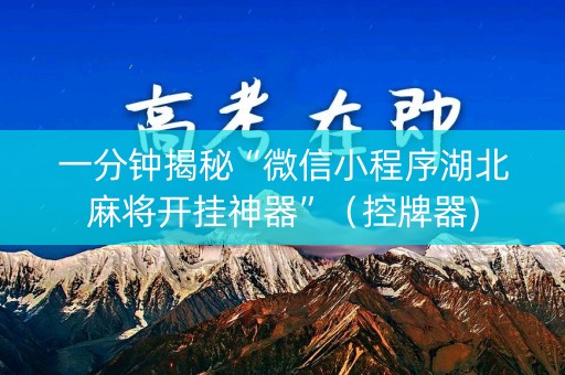 一分钟揭秘“微信小程序湖北麻将开挂神器”（控牌器)