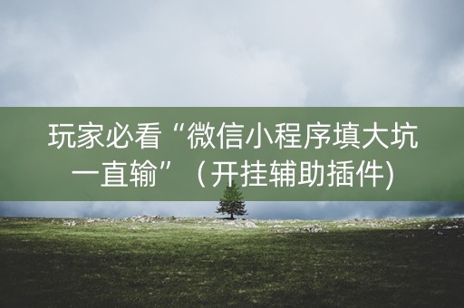 玩家必看“微信小程序填大坑一直输”（开挂辅助插件)