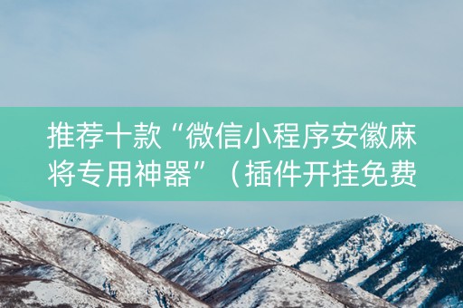 推荐十款“微信小程序安徽麻将专用神器”（插件开挂免费AI)