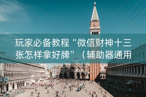 玩家必备教程“微信财神十三张怎样拿好牌”（辅助器通用版)