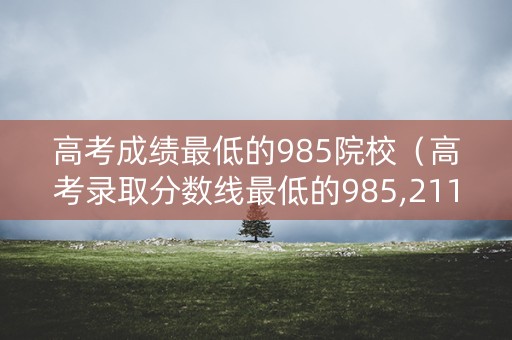 高考成绩最低的985院校（高考录取分数线最低的985,211大学）