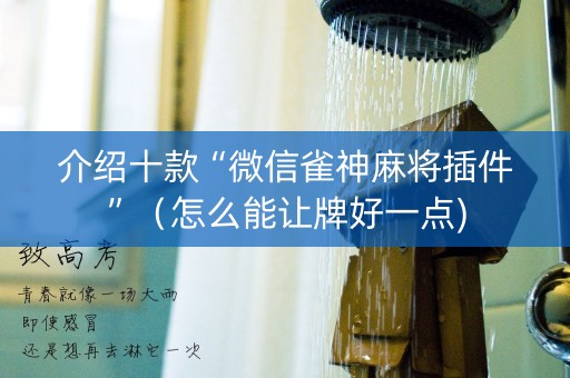 介绍十款“微信雀神麻将插件”（怎么能让牌好一点)