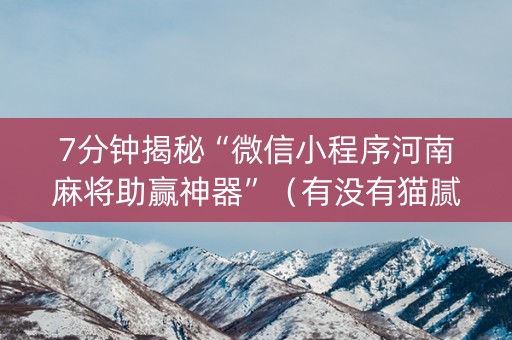 7分钟揭秘“微信小程序河南麻将助赢神器”（有没有猫腻)