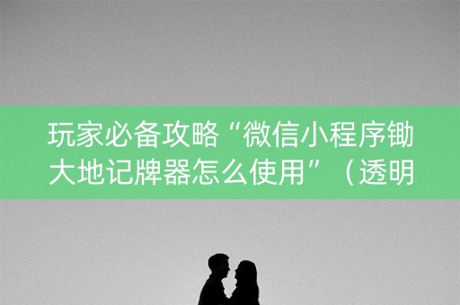 玩家必备攻略“微信小程序锄大地记牌器怎么使用”（透明挂辅助器)