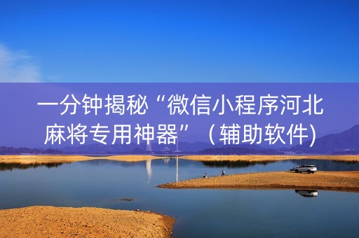 一分钟揭秘“微信小程序河北麻将专用神器”（辅助软件)