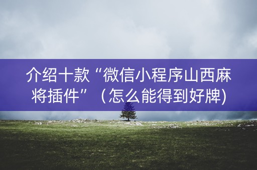 介绍十款“微信小程序山西麻将插件”（怎么能得到好牌)