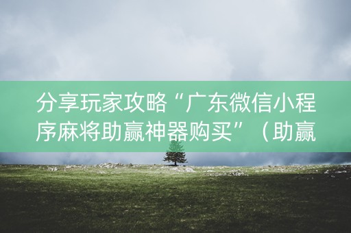 分享玩家攻略“广东微信小程序麻将助赢神器购买”（助赢神器)