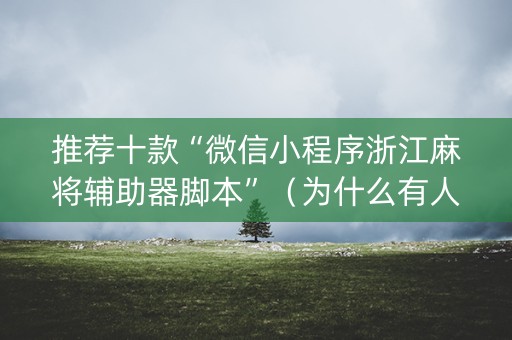 推荐十款“微信小程序浙江麻将辅助器脚本”（为什么有人一直赢)