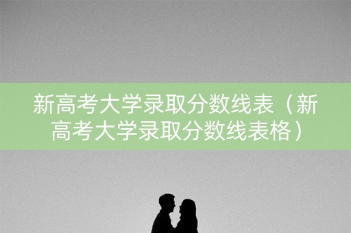 新高考大学录取分数线表（新高考大学录取分数线表格）