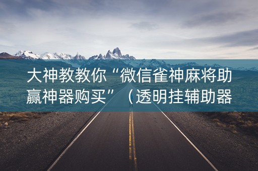 大神教教你“微信雀神麻将助赢神器购买”（透明挂辅助器)