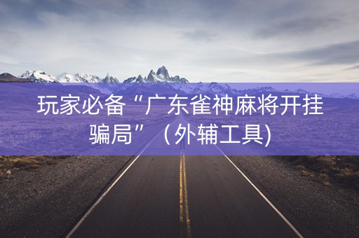 玩家必备“广东雀神麻将开挂骗局”（外辅工具)