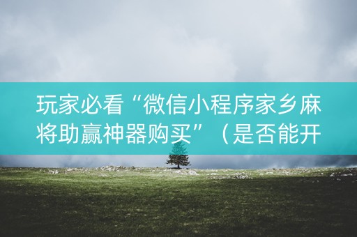 玩家必看“微信小程序家乡麻将助赢神器购买”（是否能开挂)