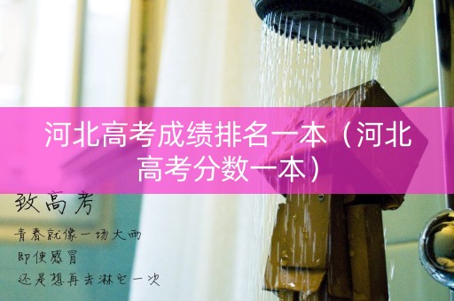 河北高考成绩排名一本（河北高考分数一本）