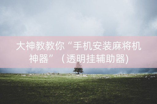 大神教教你“手机安装麻将机神器”（透明挂辅助器)