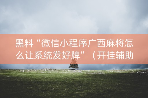 黑料“微信小程序广西麻将怎么让系统发好牌”（开挂辅助器脚本)