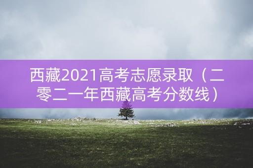 西藏2021高考志愿录取（二零二一年西藏高考分数线）