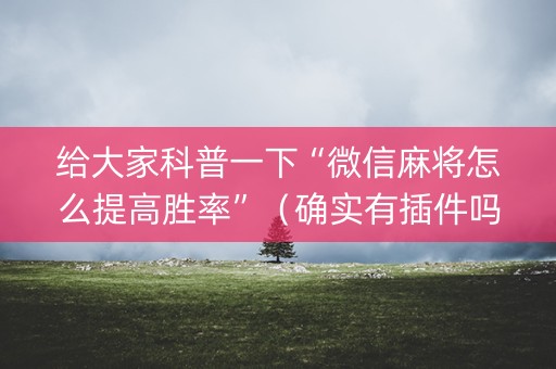 给大家科普一下“微信麻将怎么提高胜率”（确实有插件吗)