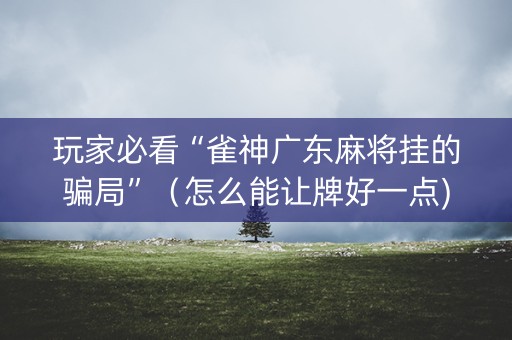 玩家必看“雀神广东麻将挂的骗局”（怎么能让牌好一点)