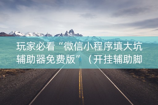 玩家必看“微信小程序填大坑辅助器免费版”（开挂辅助脚本)