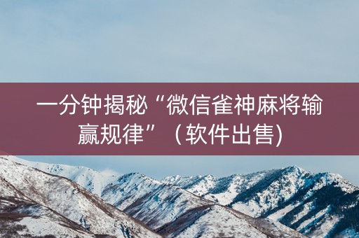 一分钟揭秘“微信雀神麻将输赢规律”（软件出售)