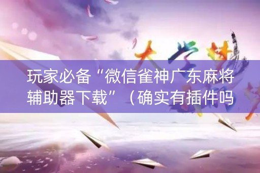 玩家必备“微信雀神广东麻将辅助器下载”（确实有插件吗)