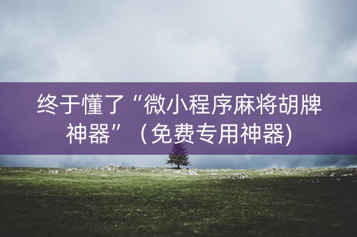 终于懂了“微小程序麻将胡牌神器”（免费专用神器)