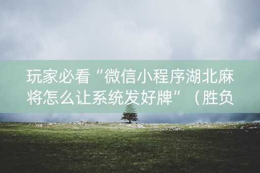 玩家必看“微信小程序湖北麻将怎么让系统发好牌”（胜负规律拿好牌)