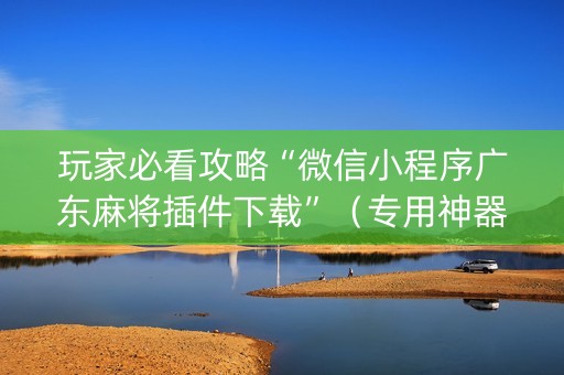 玩家必看攻略“微信小程序广东麻将插件下载”（专用神器下载)