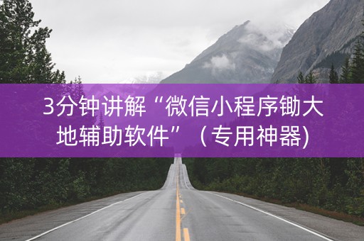 3分钟讲解“微信小程序锄大地辅助软件”（专用神器)