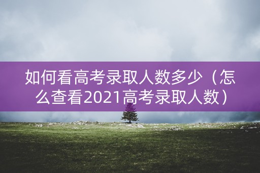 如何看高考录取人数多少（怎么查看2021高考录取人数）