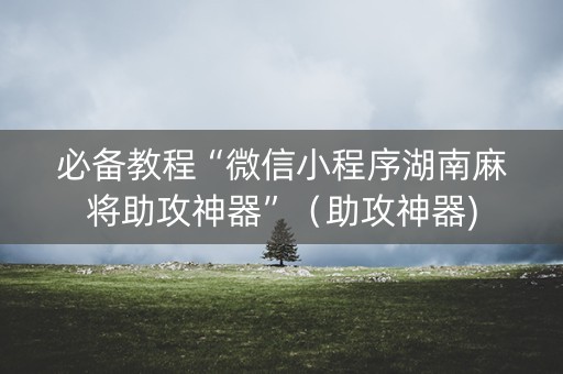 必备教程“微信小程序湖南麻将助攻神器”（助攻神器)