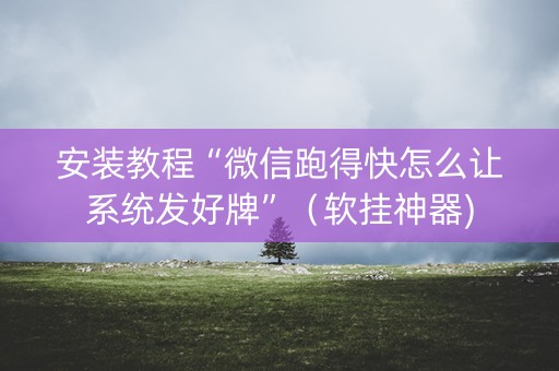 安装教程“微信跑得快怎么让系统发好牌”（软挂神器)