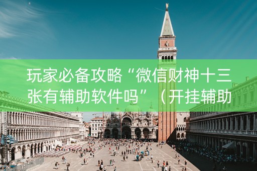 玩家必备攻略“微信财神十三张有辅助软件吗”（开挂辅助器插件)